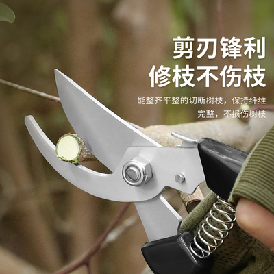【清仓版】现货不锈钢园艺剪刀花枝盆栽摘果花艺工具修枝直头弯头