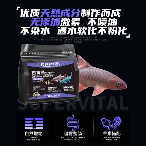 速倍妥吉罗鱼专用饲料下沉增色增体高蛋白鱼食不混水冷水鱼鱼饲料