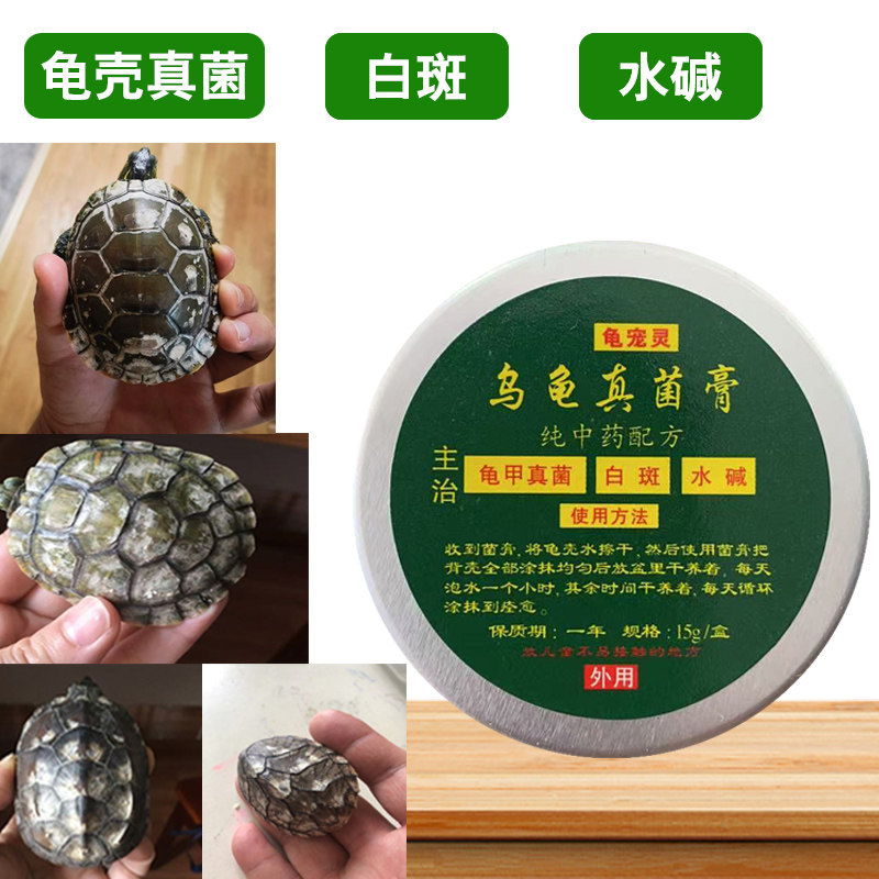 乌龟壳发白背甲专治巴西背壳发白草龟火焰水碱龟壳白斑陆龟水龟甲