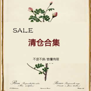 千叶鹿 年中清仓合集2