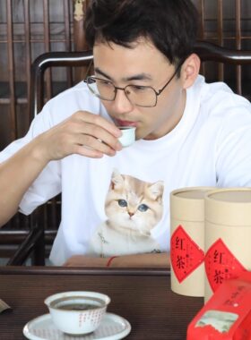2026新茶安吉特产高山红茶