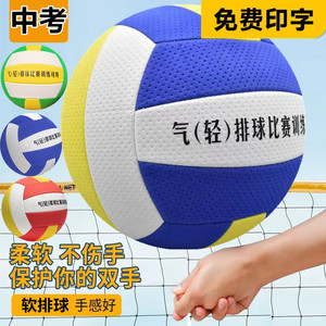 免费刻字气排球软排轻排球
