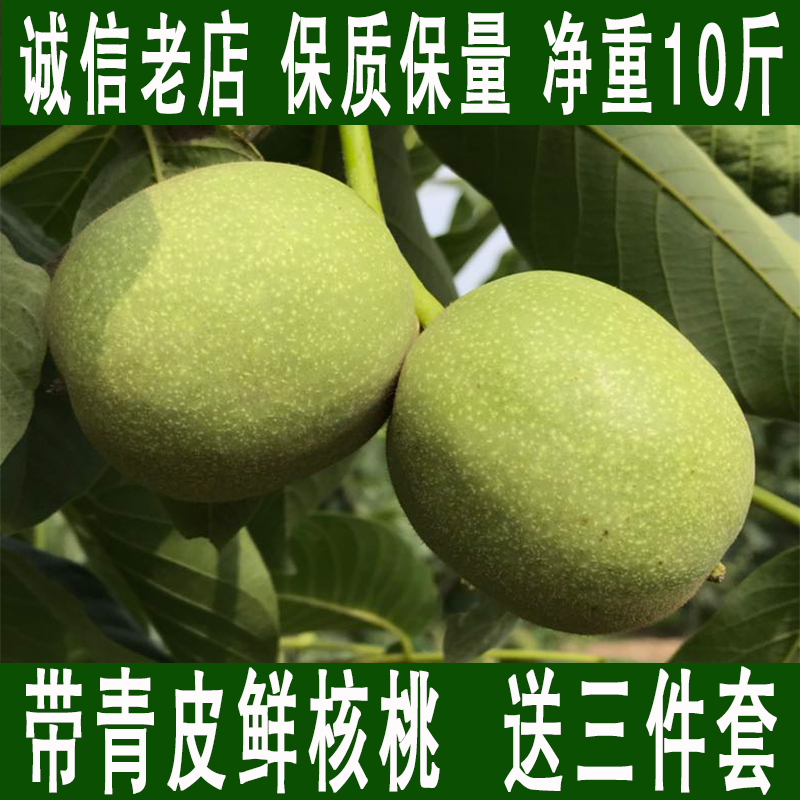 ÏÖÕªÏÖ·¢ÐÂÏÊÇàÆ¤ºËÌÒ10½ï±¡Æ¤ÊªºËÌÒÂÌÆ¤ÄÛºËÌÒÔи¾ÉúºËÌÒÅú·¢