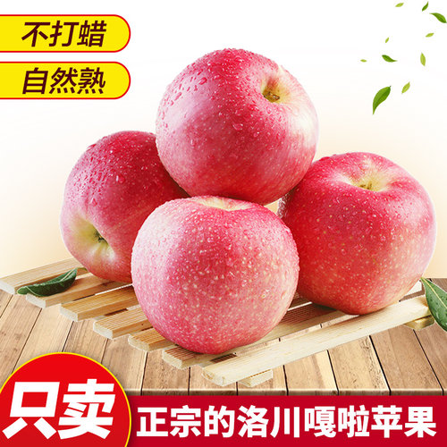 2026年新果陕西新鲜嘎啦苹果应季现摘现发当季特产包邮