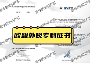 欧盟外观专利申请/欧洲外观专利申请/国际外观专利申请