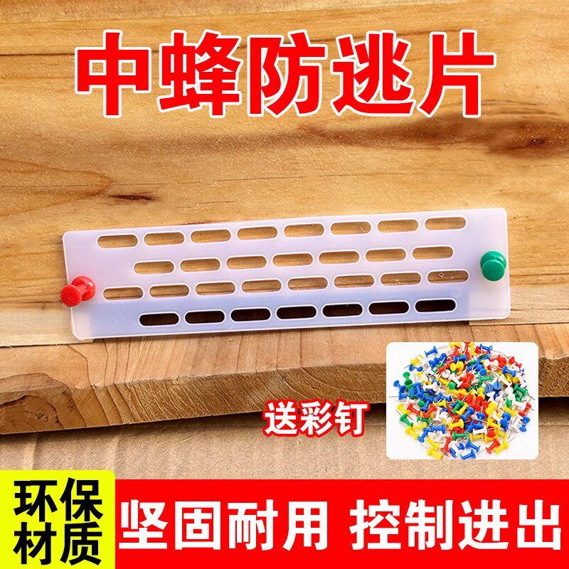 中蜂防跑王片塑料蜂箱巢门隔王