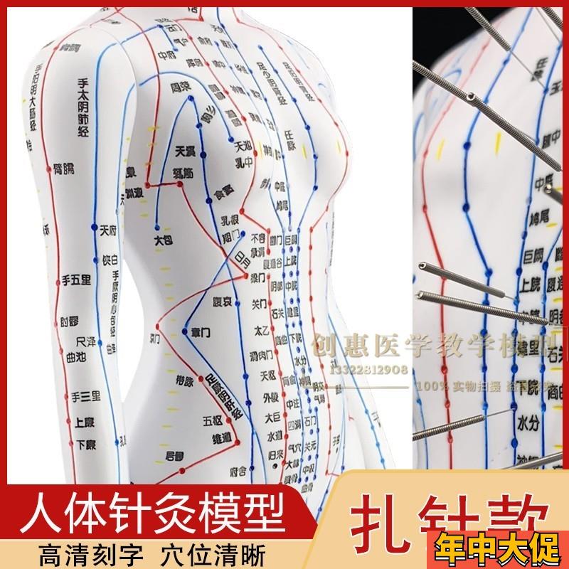 针灸穴位人体模型经络教学模型中医超清小铜人推拿按摩练习硅胶人