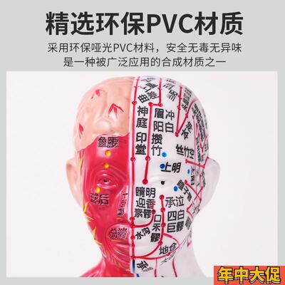 80CM人体针灸人模型半肌肉骨骼内脏解剖中医经络穴位高清刻字工艺