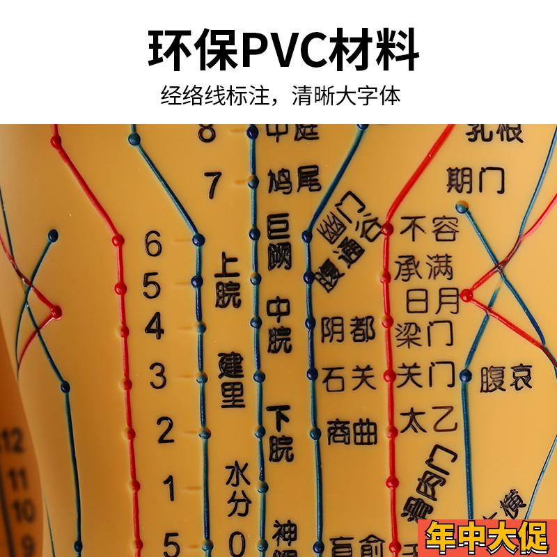 中医针灸穴位人体模型教学全身十二经络图小皮人软胶扎针练习模特