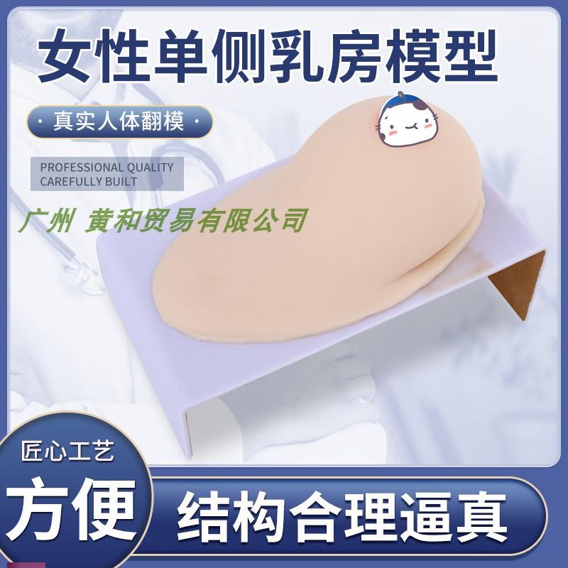 母乳哺乳教学催乳师培训教具y纯硅胶乳房模型高级仿真女性假乳