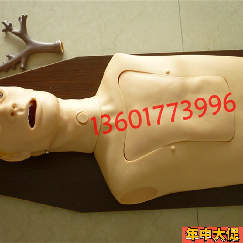 支气管内窥镜检查训练模型 内窥镜练习模型 支气管检查模型人