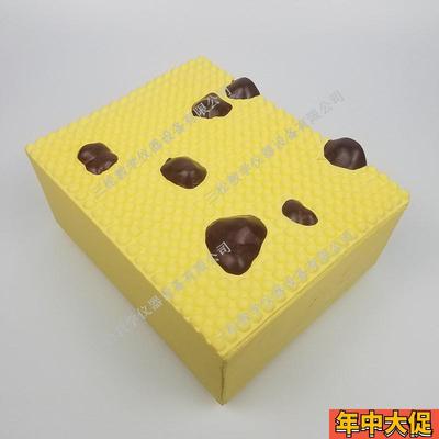 细胞膜结构模型 J33303 初中高中生物实验器材 中学 教学仪器