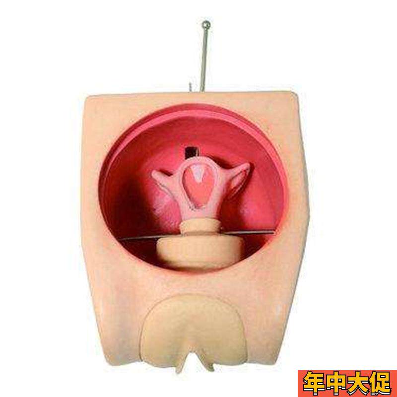 医学高级女性避孕练习模型计划生育教育 教学模 妇幼练习模型包邮
