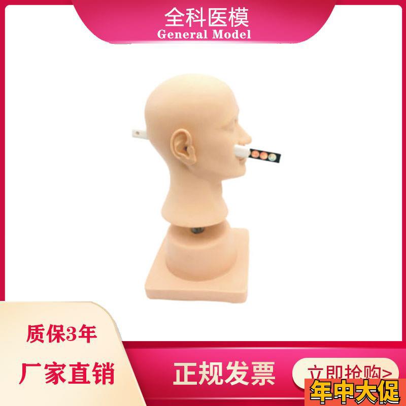 高级耳诊断模型正常病变的鼓膜模块耳内检查模型