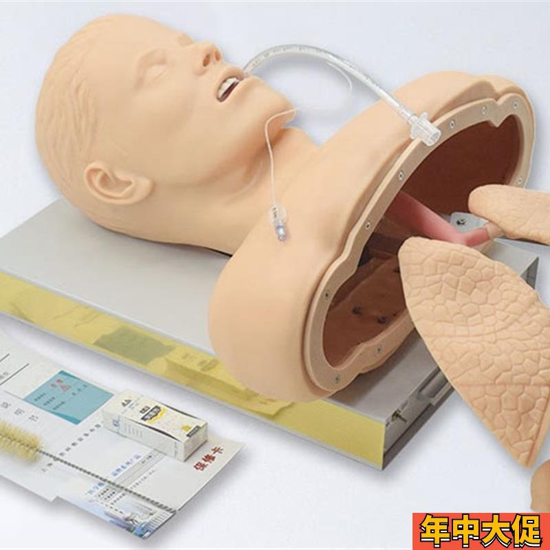 人体气管插管模型带喉部解剖结构 成人气道插管训练模型J50