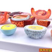 受精过程精卵结合生殖妊娠早期胚胎发育胎盘卵巢子宫妇产科医教具