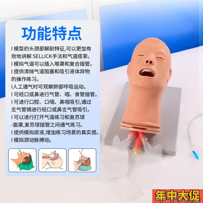 医博BIX-J52高级多功能气管插管训练模型多功能气道管理模型气管