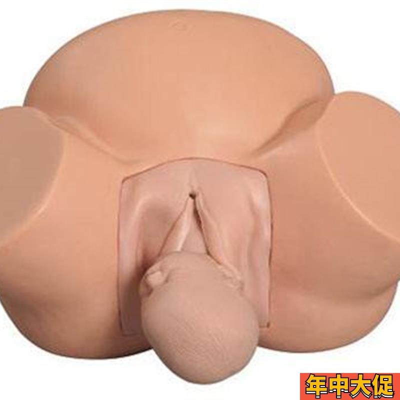 分娩示教模型 高级难产示教训练模型妇产科难产助产分娩教学模型