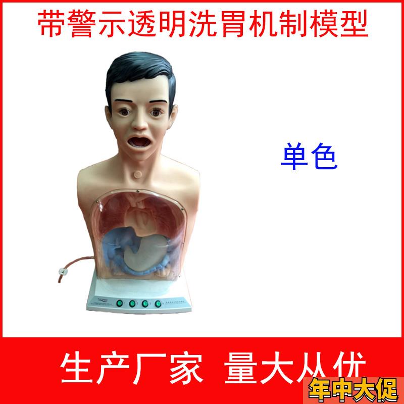 带警示透明洗胃机制模型高级透明洗胃机制模型洗胃练习模型
