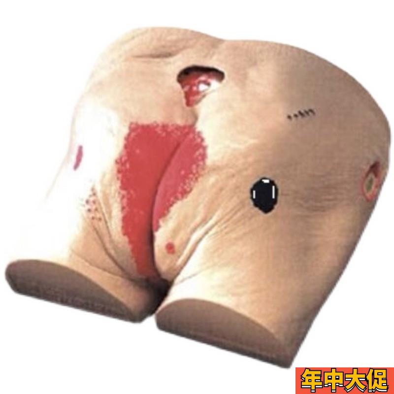 褥疮护理模型  高级老年人褥疮压疮护理模型 医学用教学模型 教具