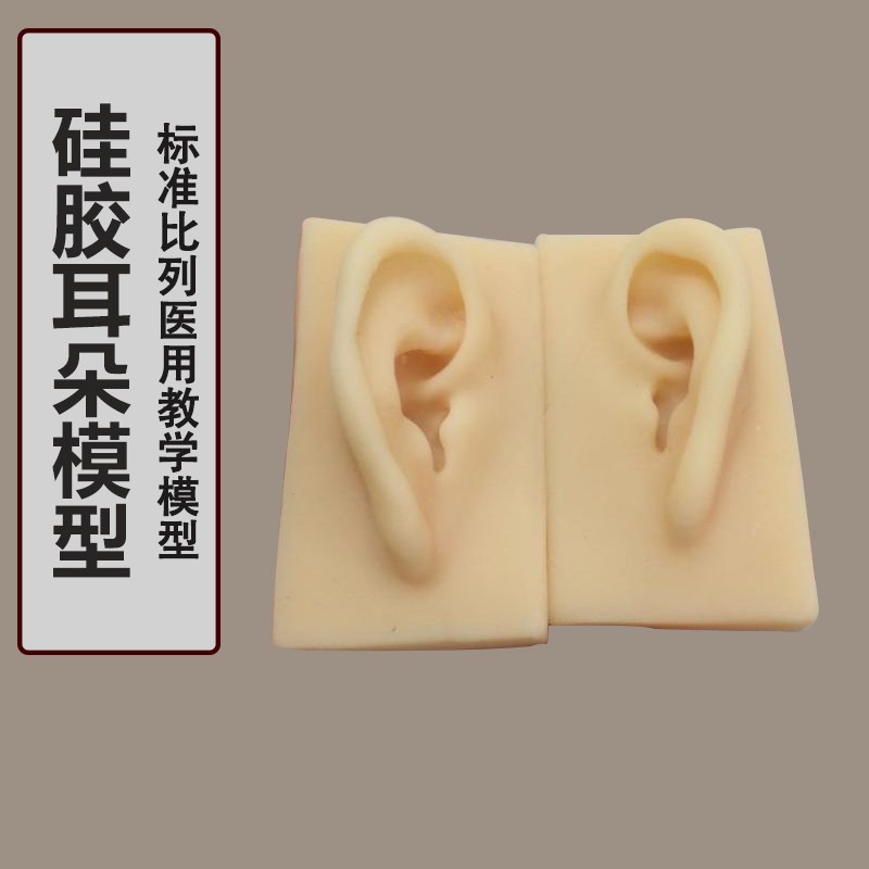 硅胶耳朵模型 耳朵模型耳y钉展示耳模 助听展示道具包邮