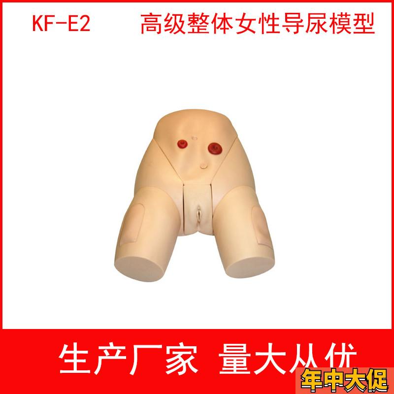 高级整体男女导尿模具,高级整体男性导尿模型 女性导尿训练模型