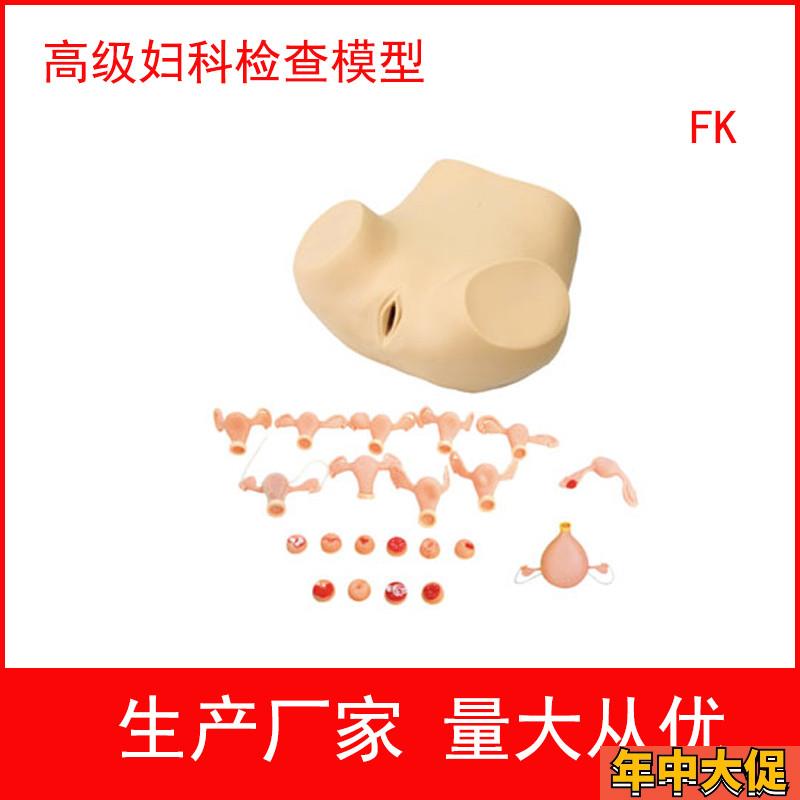 妇科训练模型,妇科检查模型,妇婴训练模型 护理模型妇产科培训用