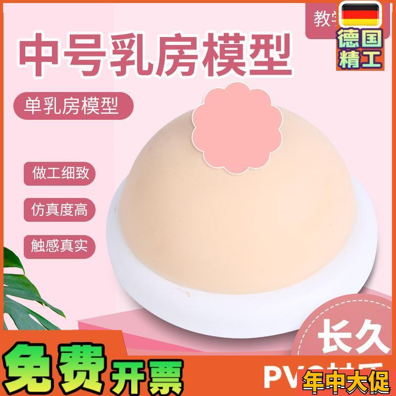 家政月嫂人体仿真女性乳房催乳师培训道具哺乳硅胶乳房教具模型
