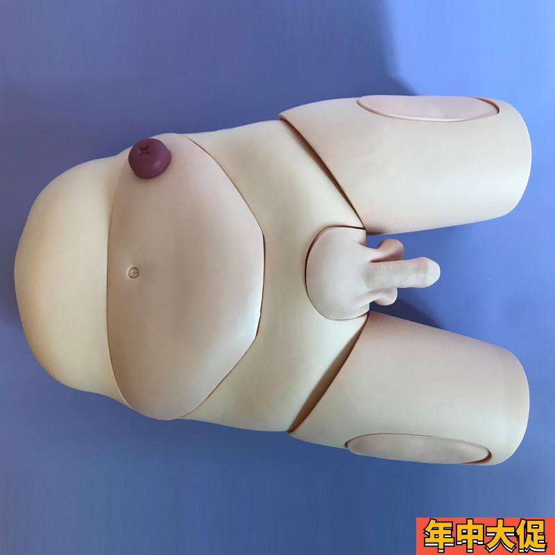 高级男女性别导尿模型生殖器官可互换护理操作训练示教模具造瘘口