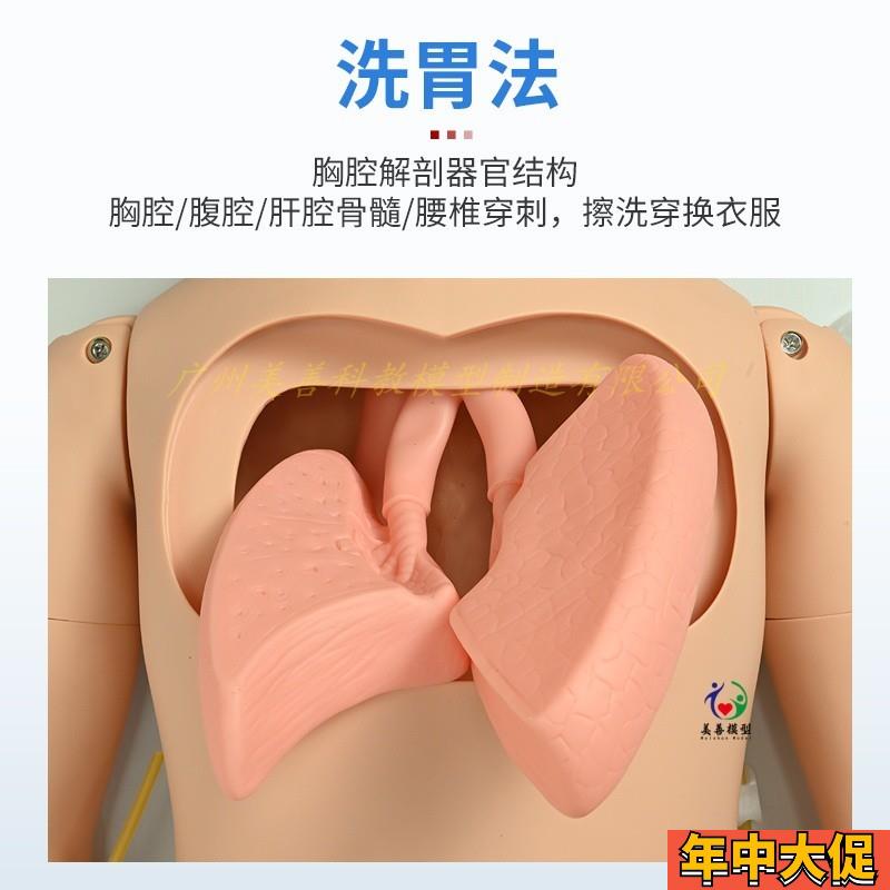 高级男女性护理人体模型 灌肠 插尿管 医学导尿技能操作护理模特