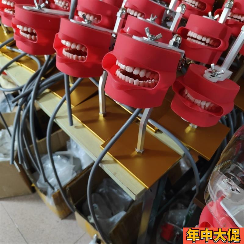牙科器械口腔备牙支架离体牙备牙模型仿真头模开髓模型练习支架