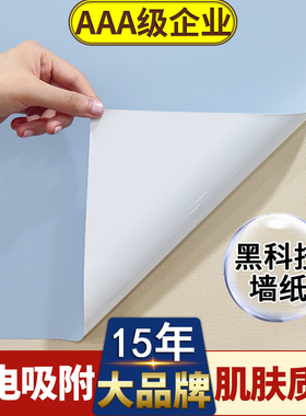 静电墙围护墙贴纸自粘墙面遮丑防脏榻榻米床边白墙床围墙裙保护膜