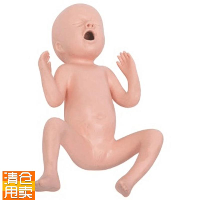 高级24周早产儿模型高级30周早J产儿模型早产儿护理模型