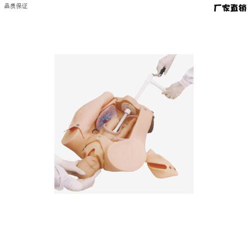 高级手摇分娩机制示教模型肩k难产助产训练模型妇幼保健模具