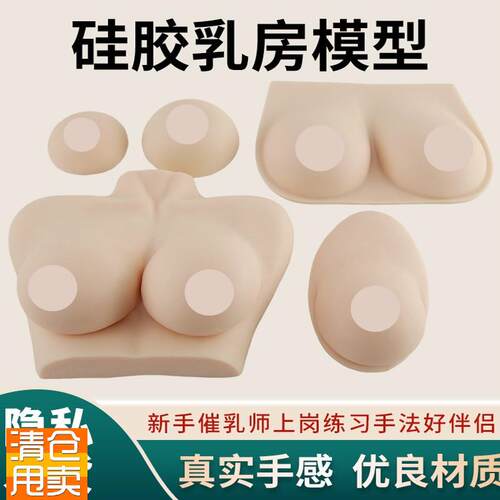 女性硅胶乳房模型催乳师培训道具哺乳E教学模型假乳Z房医学教具