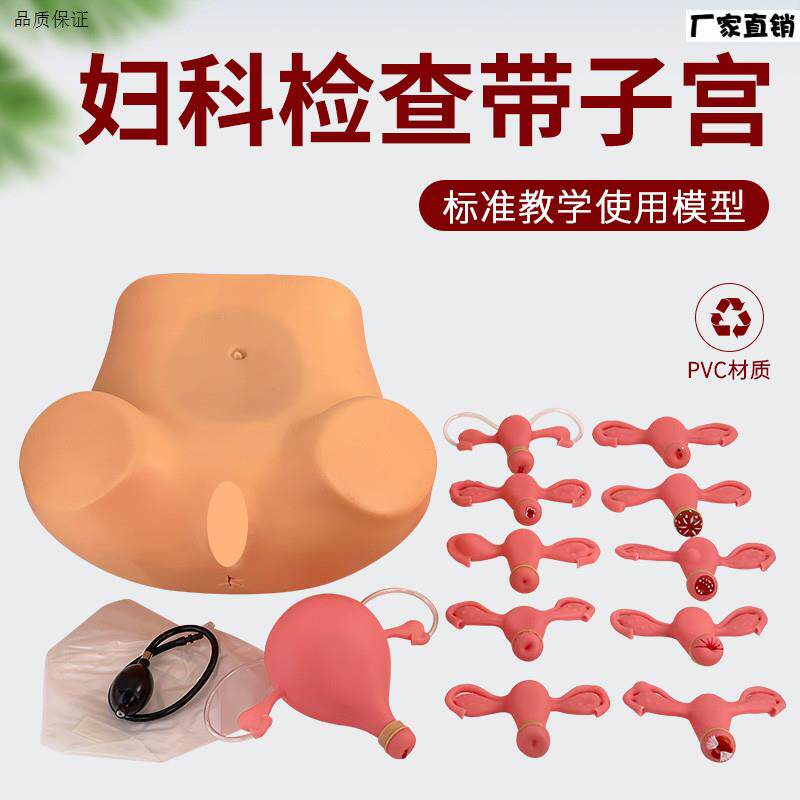 妇科检查模型妇科训练模型妇产科V技能操作训练模型医学用教学具