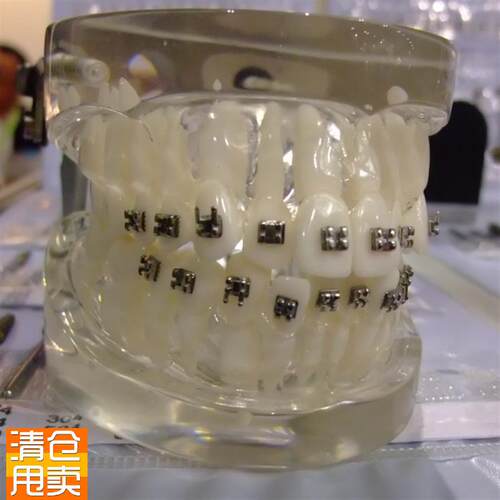 ENOVO颐诺g口腔正畸弓丝实训模型正畸训练口腔正畸弓丝弯制正畸教