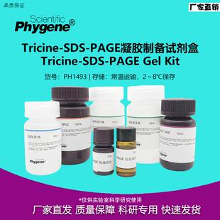 Tricine-SDS-PAGE凝胶制备试剂盒多肽小分子蛋白制胶PHJYGENE