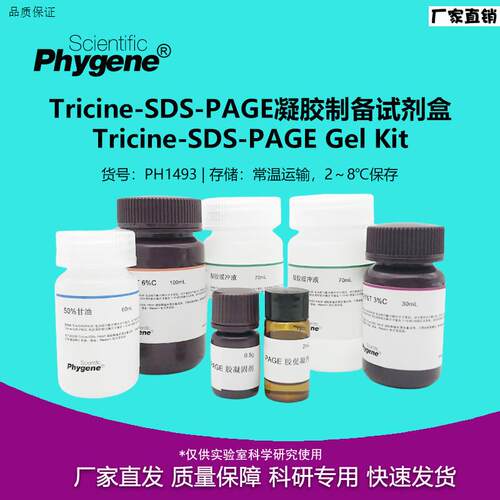 Tricine-SDS-PAGE凝胶制备试剂盒多肽小分子蛋白制胶PHJYGENE