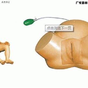 高级难产示教训练模型肩难产训练模具R妇幼保健练习模型