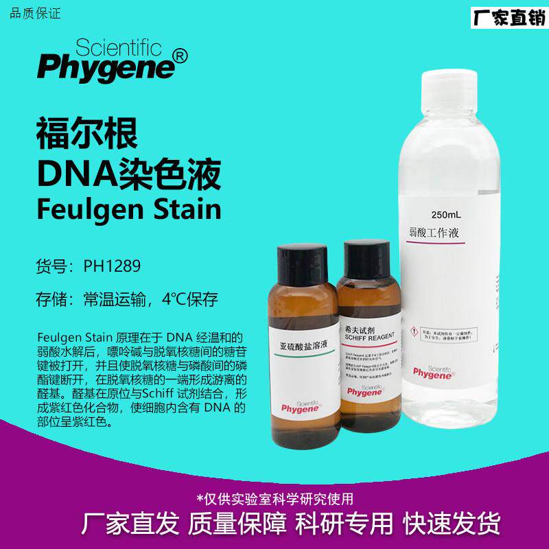 孚尔根福A尔根DNA染色液核酸染色FeulgenStain[PH1289PHYGENE]