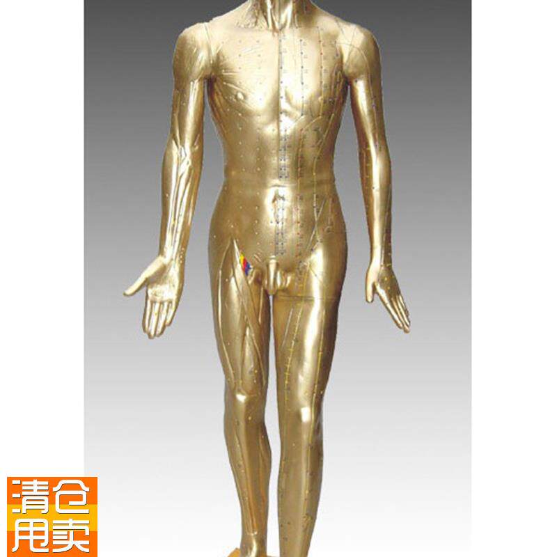 178CM针灸铜人模型人体u针灸模型针灸穴位模型针灸模型铜人模型