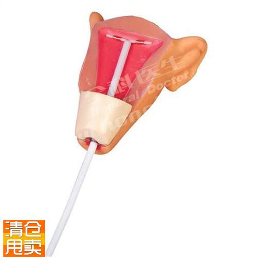 高级宫内避孕器训练模型UGD/F9E