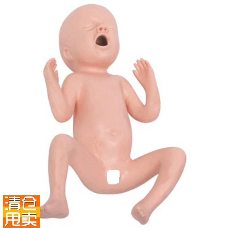 高级24周早产儿模型高级3B0周早产儿模型早产儿护理模型