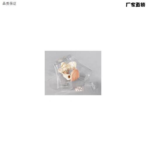 高级透明刮宫模型高级刮宫模型女性流产模型z妇科手术模型