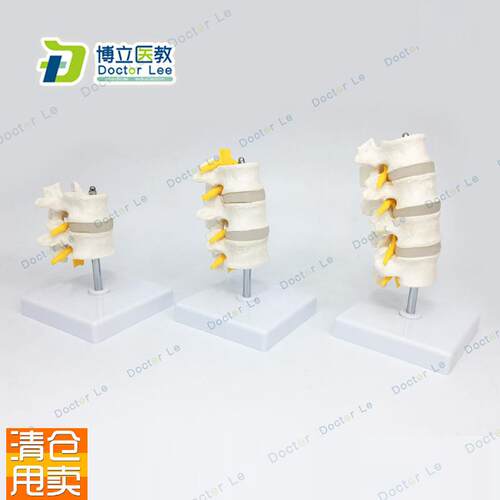 1比1脊柱e模型人体骨骼模型颈椎骨血管腰椎间盘医用教学模型