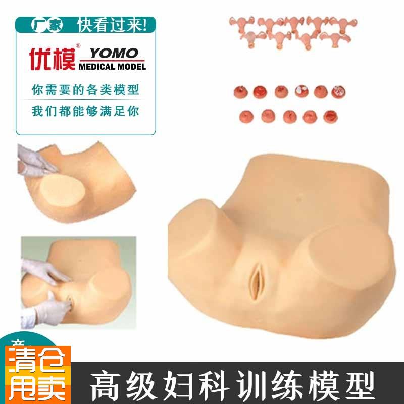 妇科检查训c练模型示教异常子宫触诊附件模型腹腔盆腔教学模具
