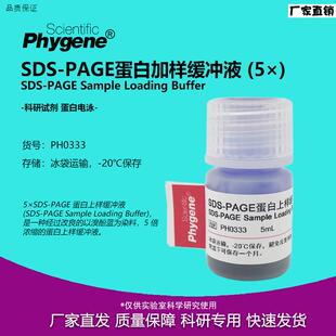 5SDS-PAGE蛋白上样缓S冲液加样缓冲液5mL[PH0333PHYGENE]