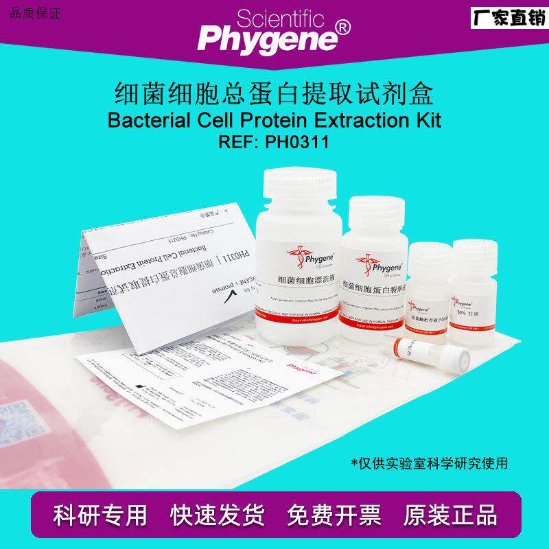 细菌细胞总蛋白提取A试剂盒50T蛋白检测[PH0311PHYGENE]