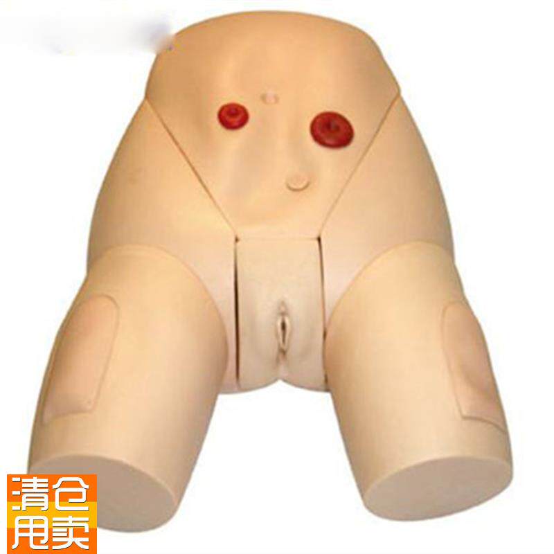 高级医学导尿f器官实习练习模型女性生殖器导尿培训模型训练模具